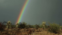 A bright rainbow after a storm in the desert