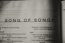 Open Bible in book of Songs