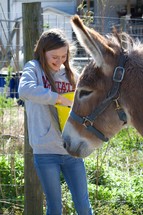 child feeding a donkey 