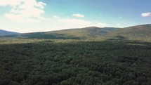 drone flying over a summer forest in slow motion 