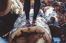 feet standing on a fallen tree