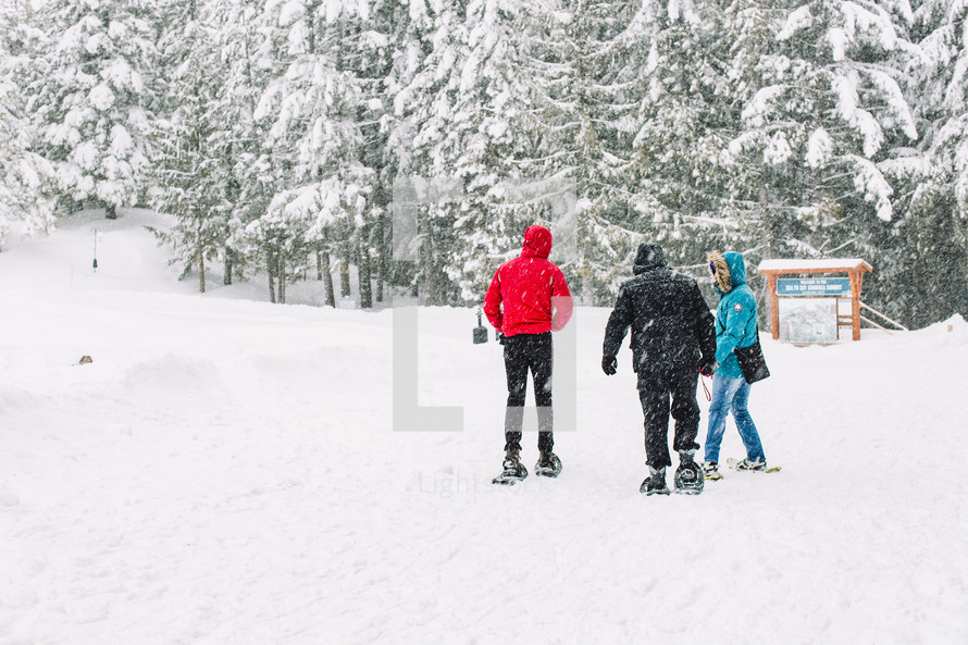 people walking wearing snow shoes 