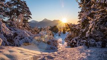 Magic winter sunset over frozen snowy forest nature in cold mountains evening Time lapse
