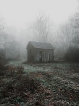 Fog surrounds an old shed in the country.