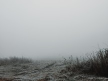 A field of dead grass covered in fog.