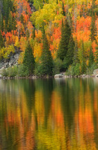 reflection of a fall forest on lake water 