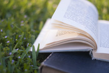 books lying in the grass 