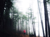 man in a foggy forest 