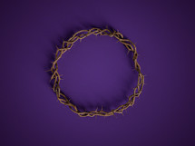 crown of thorns on a purple background 