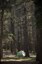 tiny tent in big forest