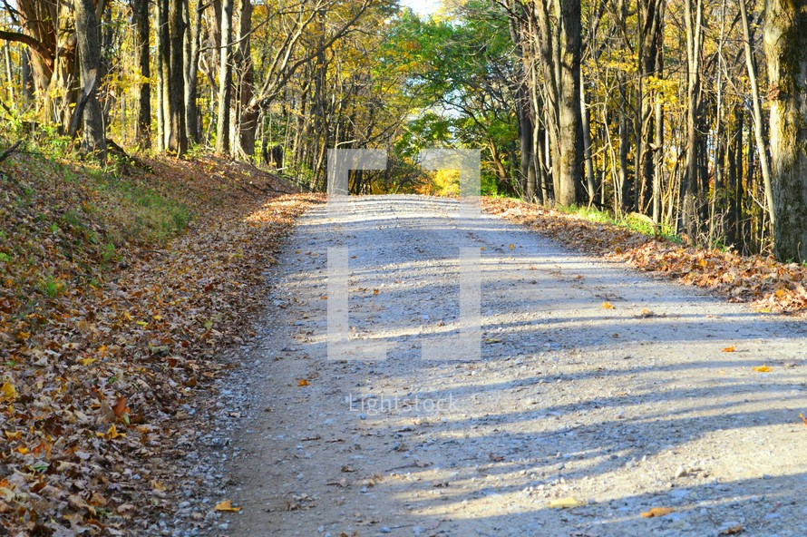 Gravel road through autumn trees and leaves