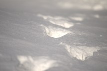 closeup of footprints in the snow 