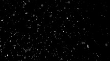 Snow falling on black background.
