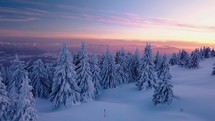 Aerial view of Magic frozen forest nature in winter mountain before sunrise blue hour
