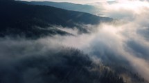 Magic morning flight above foggy forest nature at sunrise in misty landscape heaven 4K Aerial view
