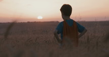 Young boy wearing a superhero cape stands in a golden wheat field looking into the sunset