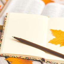 journal, pen, and open Bible, on fall leaves 