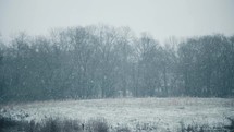 falling snow in a field 