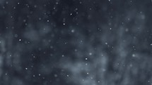 Real Snow snowing in dark nature in winter background, slow motion
