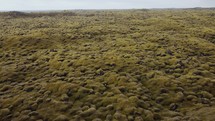 Vulcanic Green Field in Iceland