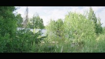 Nature's Reclaim: Abandoned Greenhouse Overrun by Nature