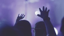 audience with raised hands at a concert