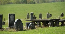 Graves in a Peaceful Meadow