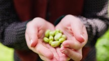 holding broad bean
