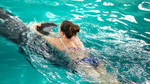 Woman swimming with dolphin, training in blue crystal pool water. Slow motion. Nature, animal, wild life, therapy concept.