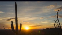 Timelapse of a colorful sunset beyond a Saguaro cactus