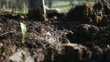 a man digging in soil 