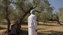 Agronomy expert analyzing olive trees in the countryside 