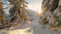Walk in beautiful winter wonderland with snowy trees in frozen mountains
