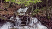 Mountains stream waterfall in fresh spring forest nature

