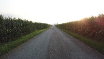 rural road through farmland in Indiana 