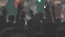 hands raised during a concert 