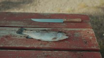 fish and knife on a picnic table 