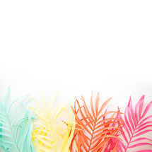 colorful feathers on a white background 