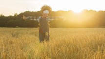 scarecrow in a wheat field 