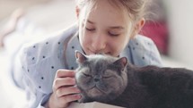 Girl strokes a grey cat 