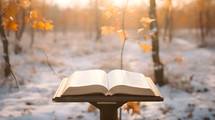 A Bible in a fall, winter scene