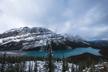 evergreen forest around Peyto lake in winter 
