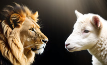 Generative AI image of a Majestic Lion and a Lamb on a Black Background