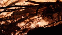 Large bonfire burning at night, slow motion flames