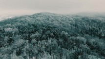 aerial view over a winter forest covered in snow 