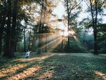 a toddler standing alone in a forest with a sunburst 