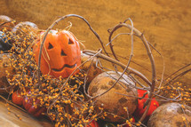 fall autumn harvest pumpkin party decorations