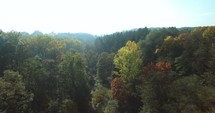 drone flying over trees in a forest 