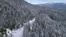 Aerial view of empty snowy road in winter forest in unmaintained mountain pass.
