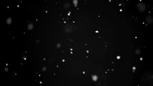 Snow snowing black winter background
